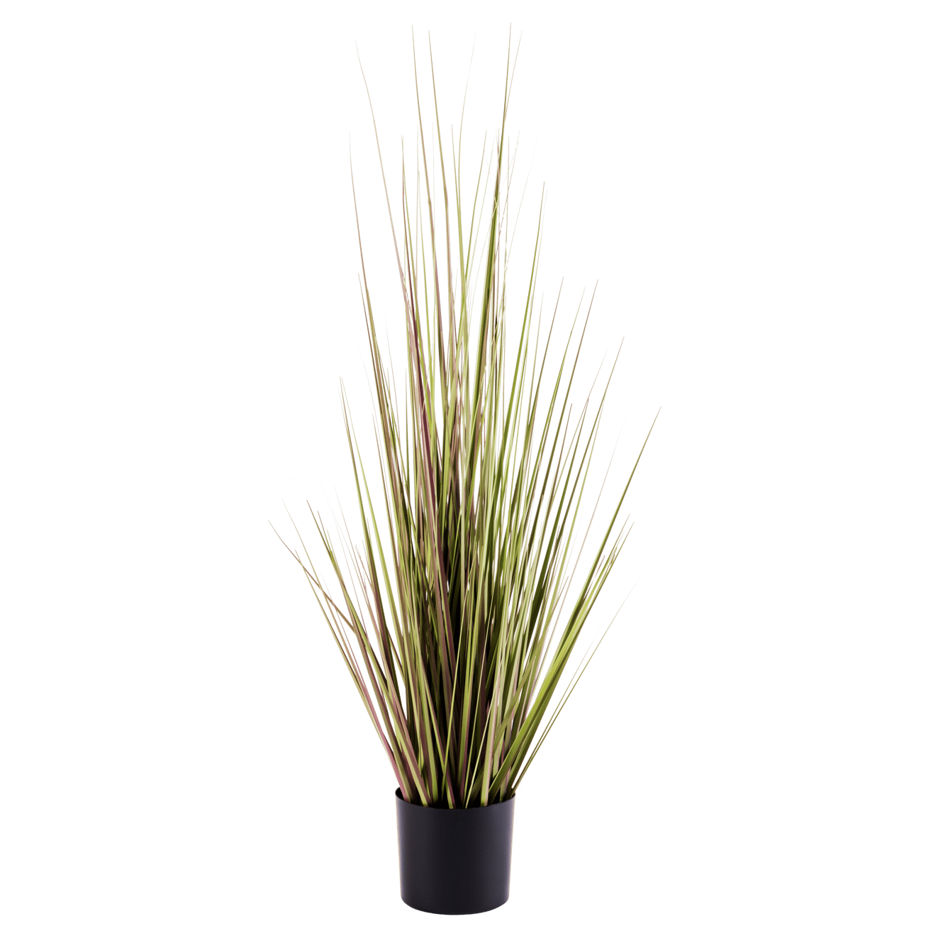 HERBA Gras in pot groen