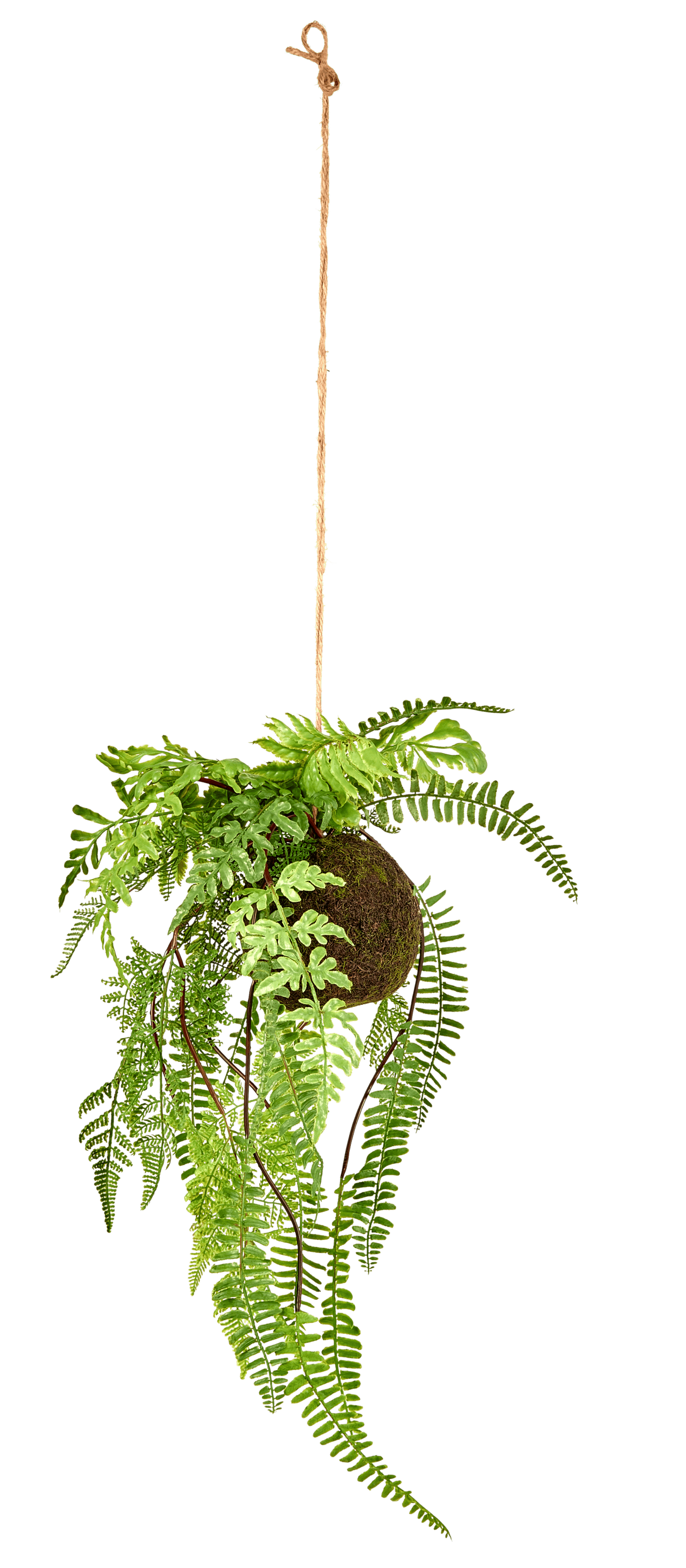 GREENERY Hangpot met varen groen