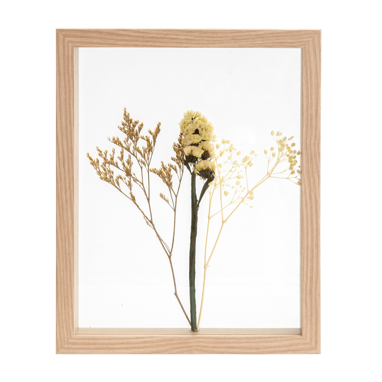 LIMONIUM Wanddecoratie naturel