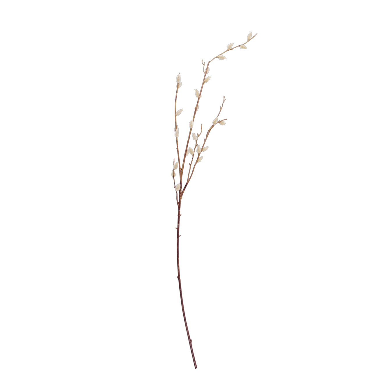 SALICA Branche artificielle vert