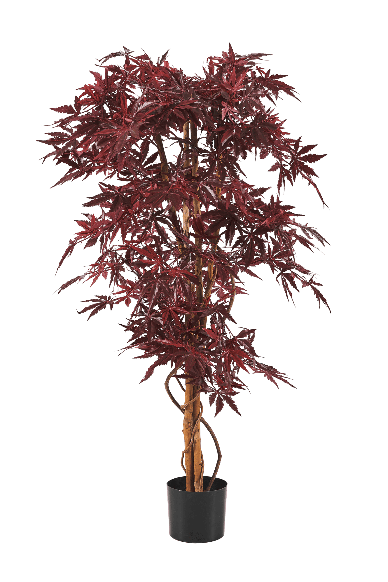 MAPLE Pianta artificiale vari colori