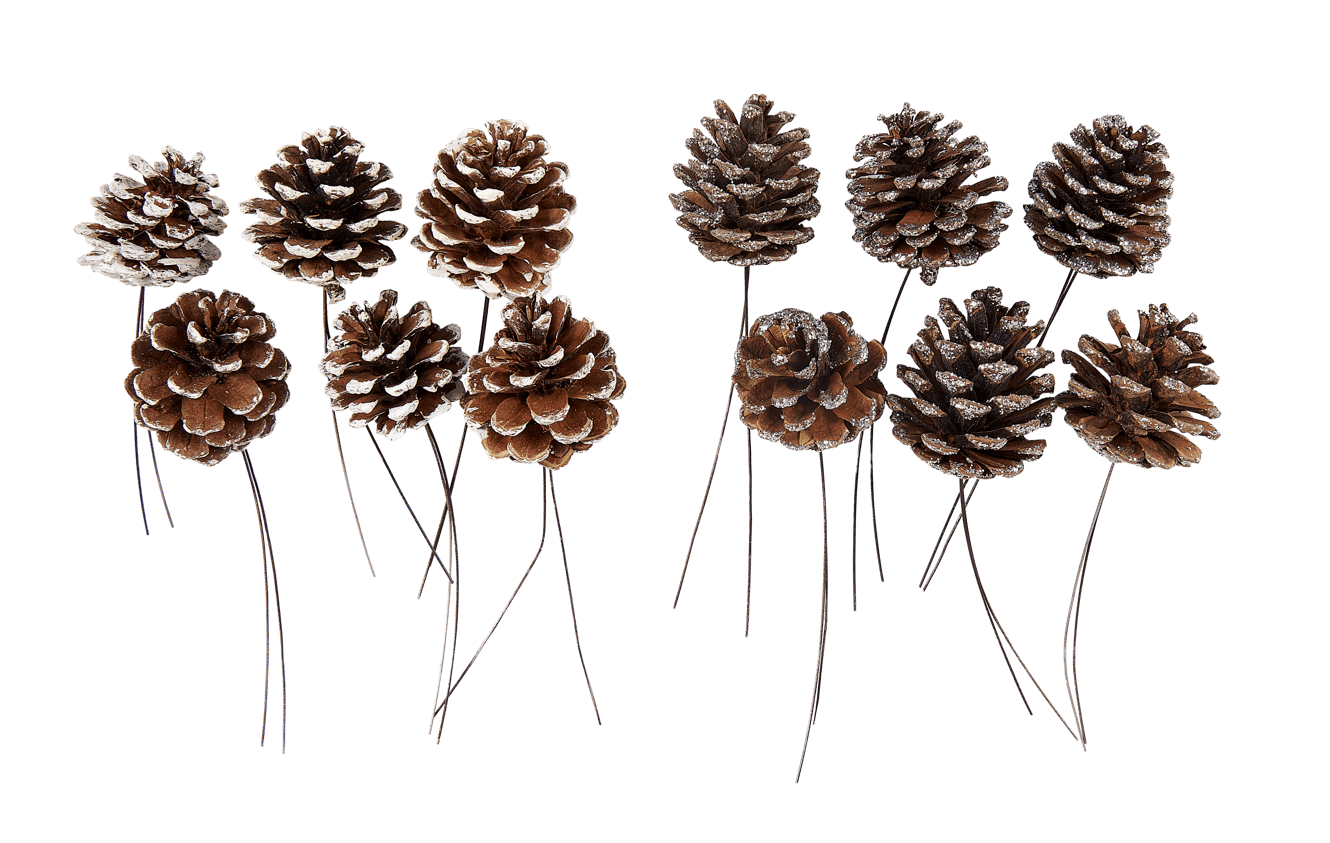 PINECONE Tannenzapfen Set von 6 2 Farben Weiss, Silbern