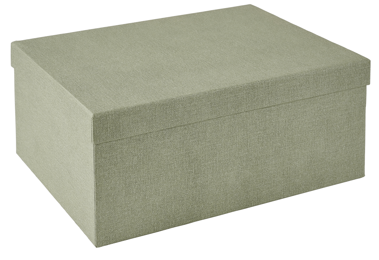 BIGSO Caja de almacenaje XL menta