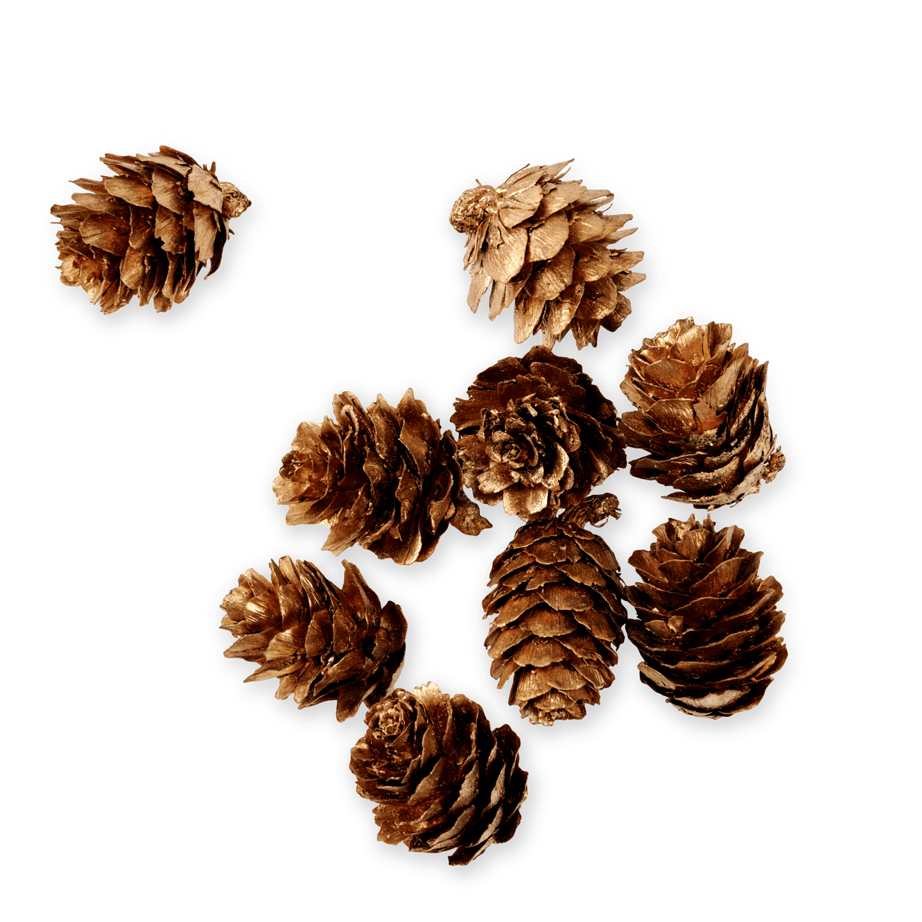 PINECONE Deco para espalhar dourado