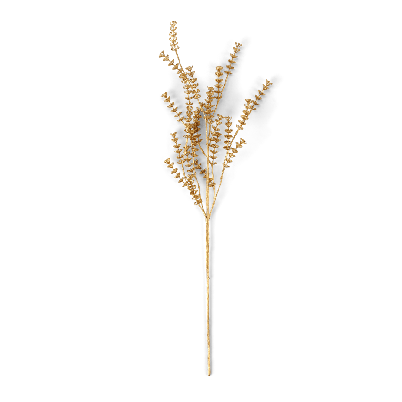 MOTHERWORT Ramo com ervas dourado