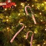 X-MAS CANDY CANE Zuckersticks Set von 12 144g Multicolor L 12,8 cm