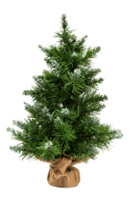 SNOWY Mini-kerstboom wit, groen H 45 cm - Ø 31 cm