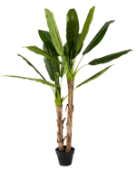 BANANA Bananeira verde H 180 cm - Ø 20 cm