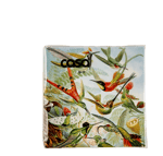 COLIBRI Paquete de 20 servilletas multicolor An. 24 x L 24 cm