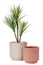 ROMA CREME Vaso da giardino crema H 30 cm - Ø 30 cm