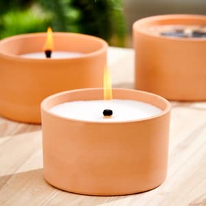 CITRONELLA Terracottaschale Weiss, Grün