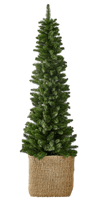 SPIKE Weihnachtsbaum Grün