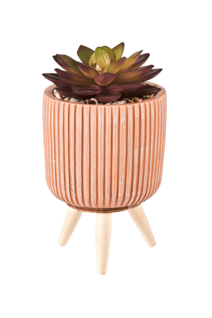 STRIPE Succulente finto in vaso multicolore H 14 cm - Ø 7,5 cm