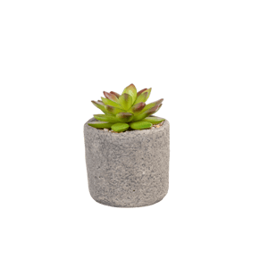 GRANIT Pianta grassa in vaso verde H 11,5 cm - Ø 7,5 cm