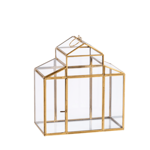 SERRE Terrarium pour plantes doré