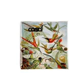 COLIBRI Set de 20 serviettes multicolore