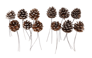 PINECONE Dennenappels set vn 6 2 kleuren wit, zilver