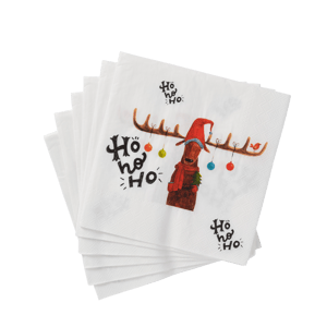 X-MAS MOOSE Set van 20 servetten multicolor