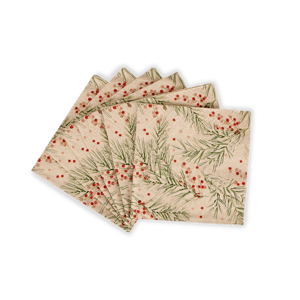 ECO HOLLY Set de 20 serviettes multicolore