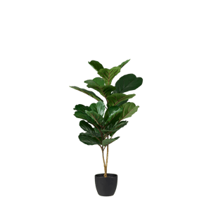 FIGI Planta artificial preto, verde escuro H 80 cm