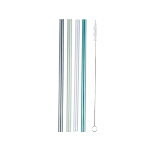 COLOR SUNNY Rietjes set van 4 met reinigingsborstel grijs, groen, blauw, transparant L 20 cm