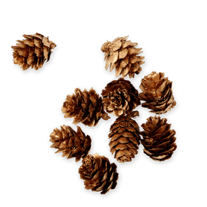 PINECONE Decoración para esparcir dorado