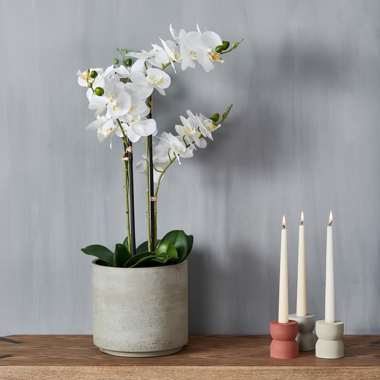 ORCHID Orchidea in vaso bianco L 68 cm - Ø 19 cm