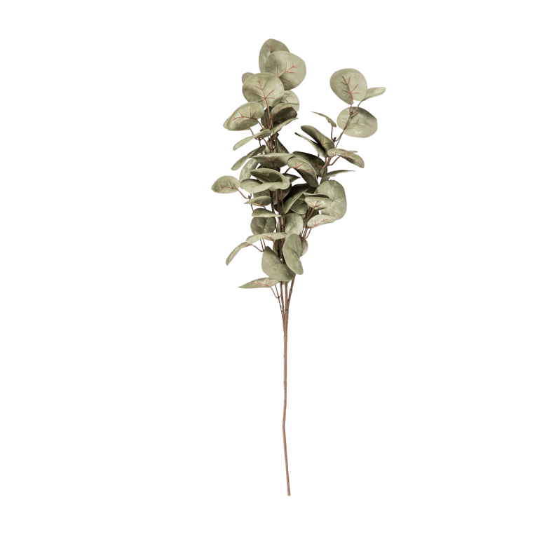 EVA Eukalyptus Grün L 80 cm