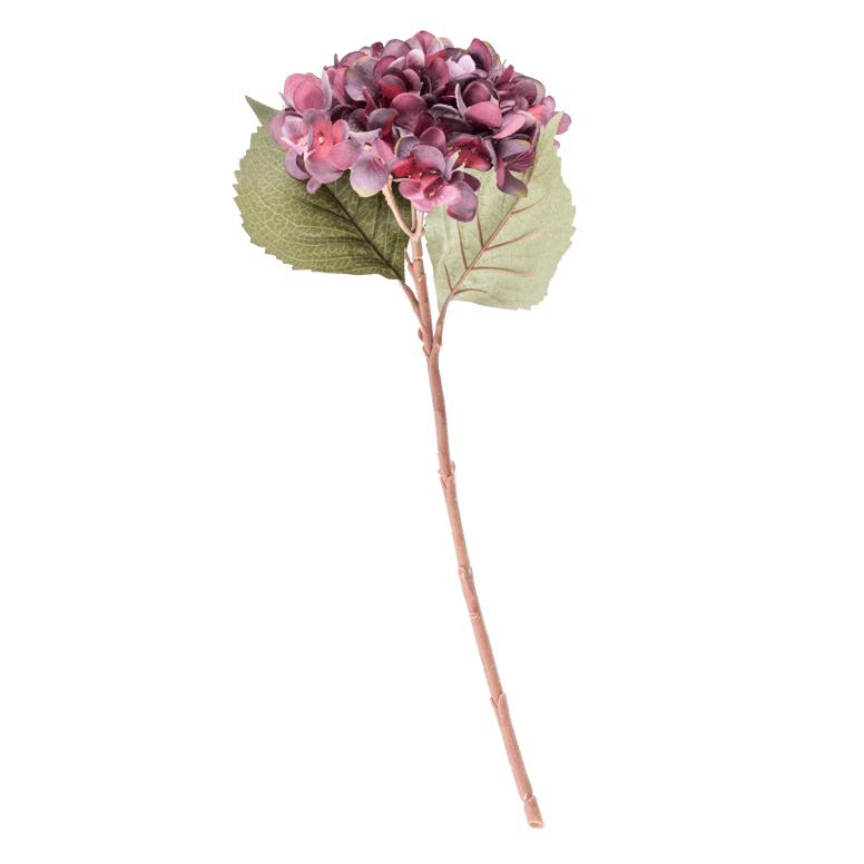 HYDRANGEA Hortensia bordeaux L 46 cm