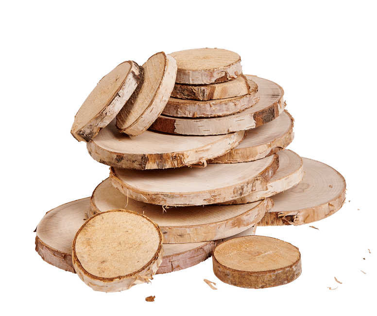 BIRCH Deco legno betulla 15 pezzi naturale Ø 4 cm - Ø 7 cm