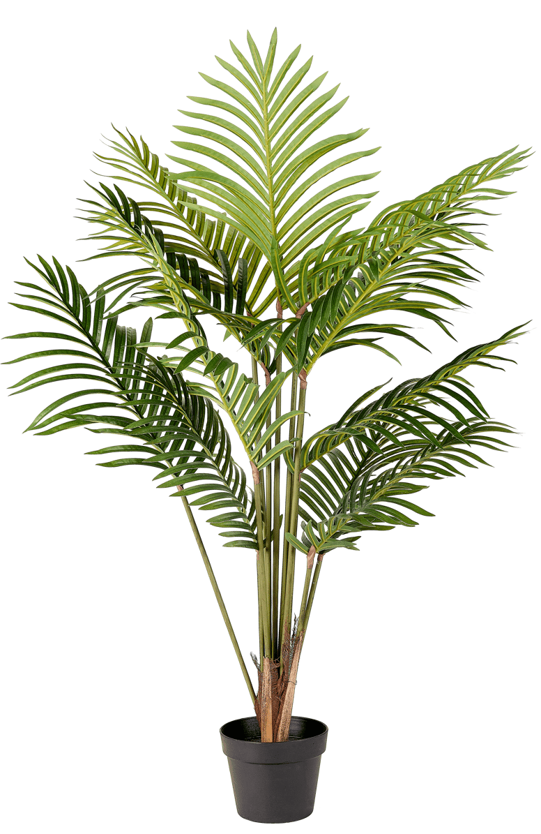 KWAI Palmboom groen H 120 cm