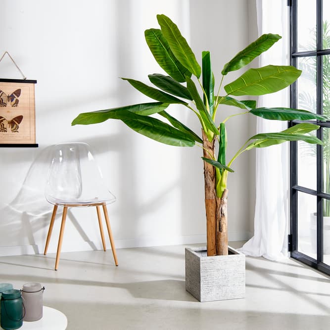 BANANA Bananenboom groen H 180 cm - Ø 20 cm