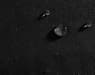 UNILINE Tafellaken zwart B 138 x L 300 cm