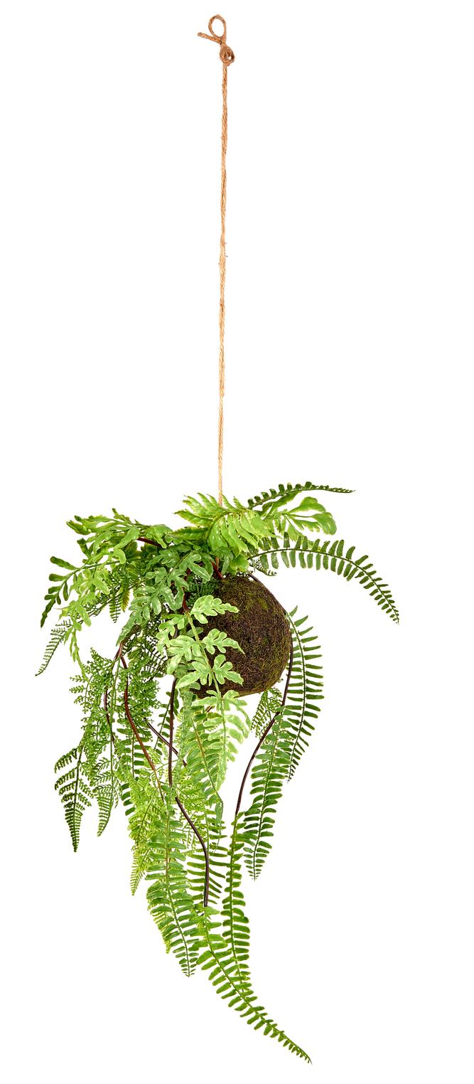 GREENERY Vaso para pendurar com samambaia verde H 22 cm - Ø 33 cm