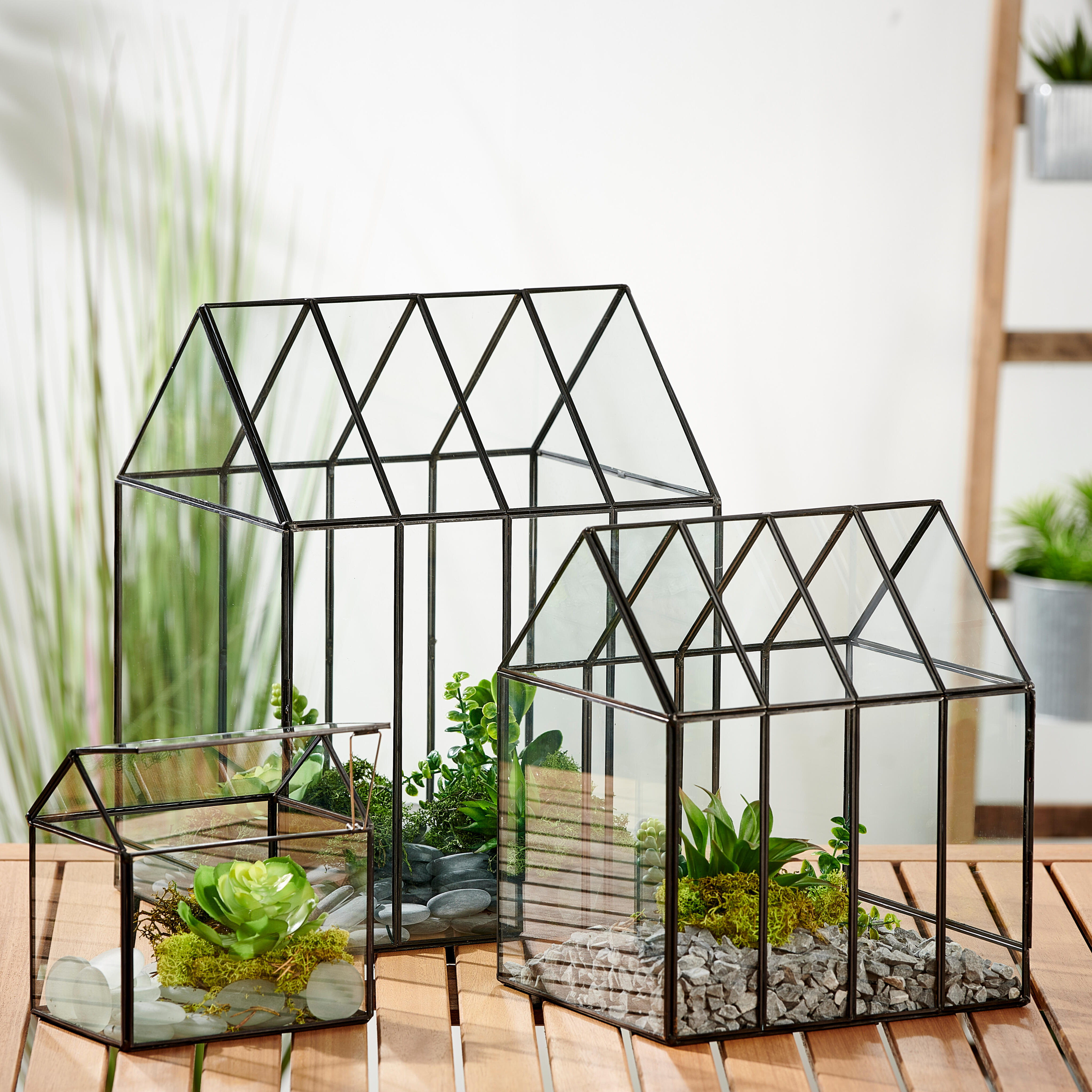Mini invernadero de plantas para interior y exterior, cubierta de maceta,  refugio, película de vidrio suave transparente, invernadero para plantas de  jardín - AliExpress