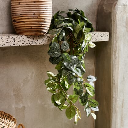 CALATHEA Plante suspendue gris, vert, mauve H 22 x Larg. 22 x Long. 45 cm