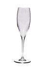 PREMIUM Fluitglas star-glas H 24,5 cm - Ø 7,8 cm