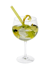 GIN Cocktailglas transparant H 18 cm - Ø 9,5 cm