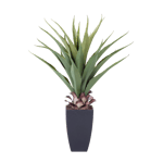 VERA Aloe vera verde H 75 cm - Ø 15 cm