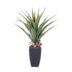 VERA Aloe vera verde H 75 cm - Ø 15 cm