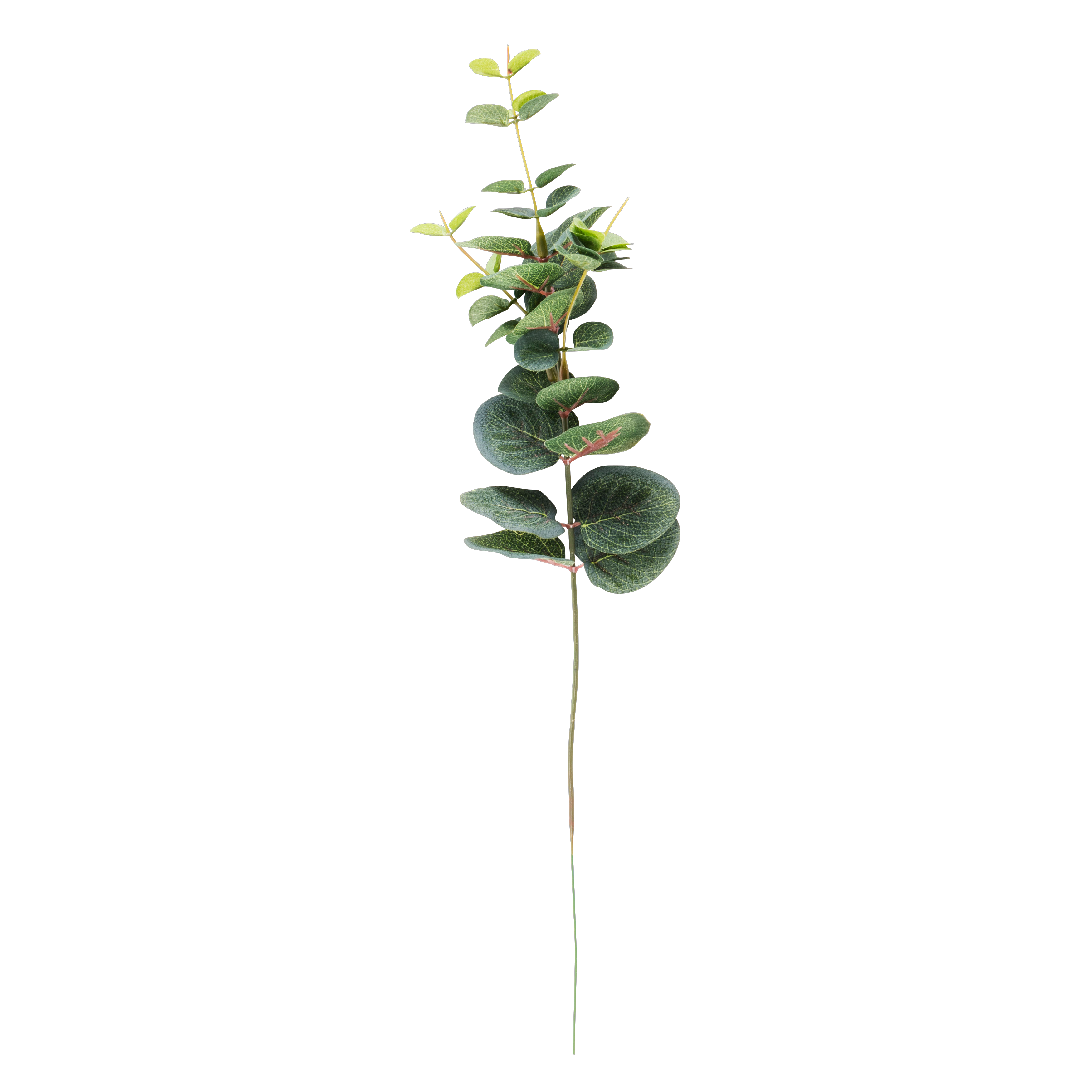 Guirlande de feuilles d'eucalyptus artificiel pourpre 182 cm