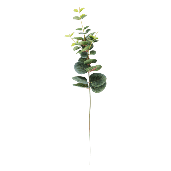 EUCALYPTUS Tige artificielle vert Long. 40,5 cm