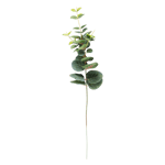 EUCALYPTUS Kunsttak groen L 40,5 cm