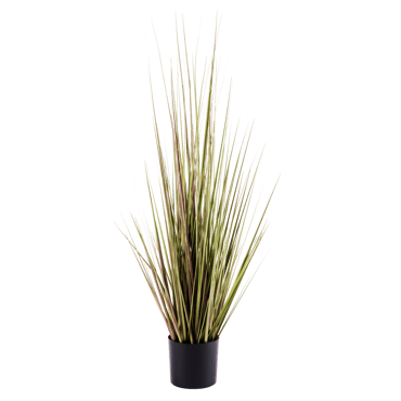 HERBA Gras in pot groen H 90 cm - Ø 13 cm - Ø 50 cm