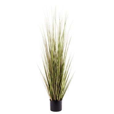 HERBA Gras in pot groen H 120 cm - Ø 15 cm - Ø 60 cm