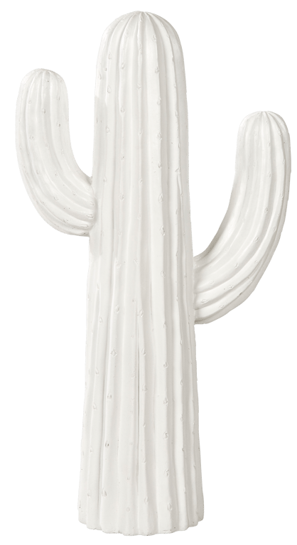 MAGNESIA Cactus bianco H 77 x W 42 x D 20 cm