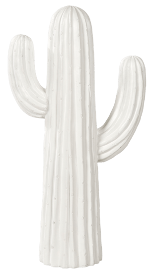 MAGNESIA Kaktus Weiss H 77 x B 42 x T 20 cm