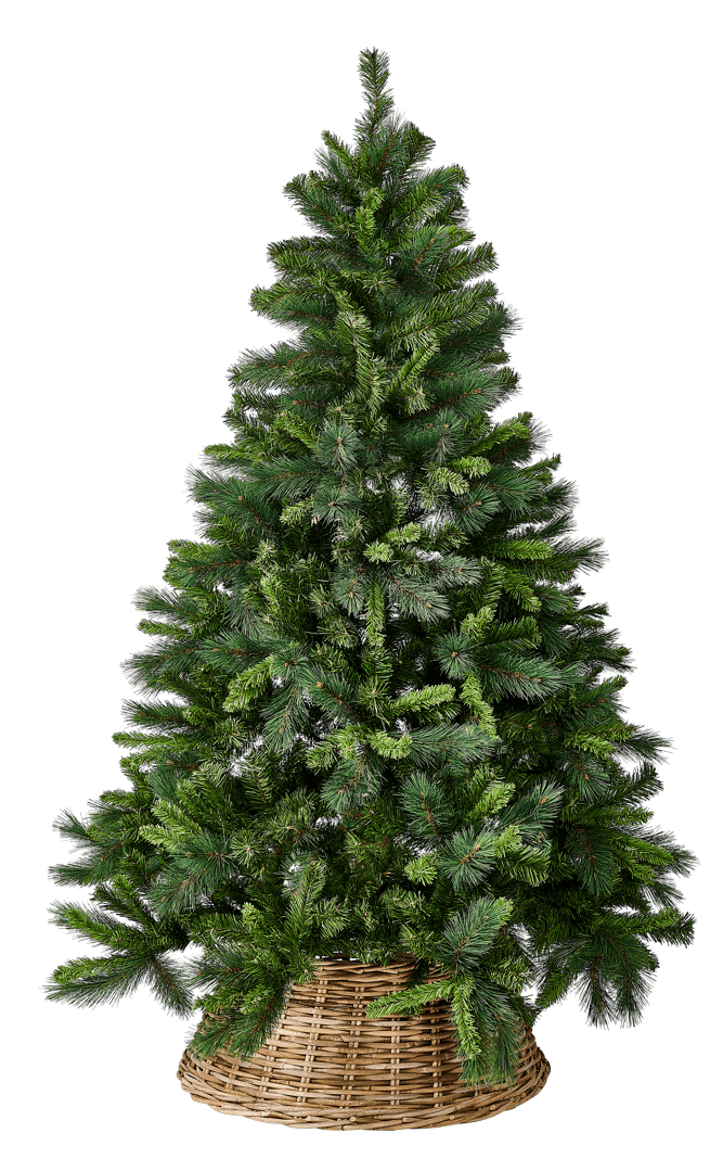Caixa De Presente De árvore De Natal Verde Vermelho, Natal Png