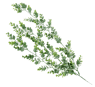 GREEN Rama sintético verde L 78 cm