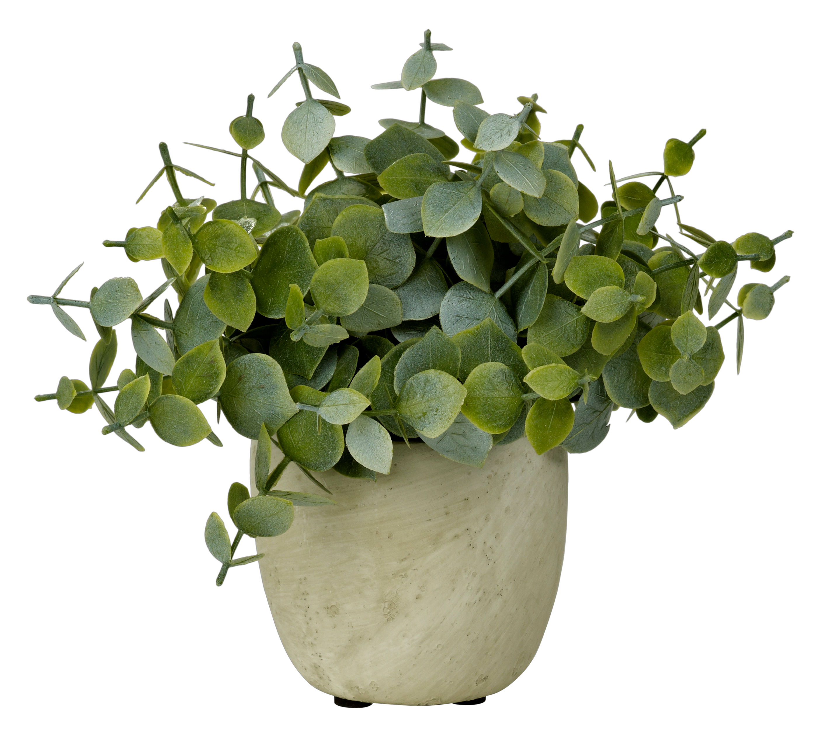 TERRA Pot avec plante blanc, vert H 19 cm - Ø 6 cm